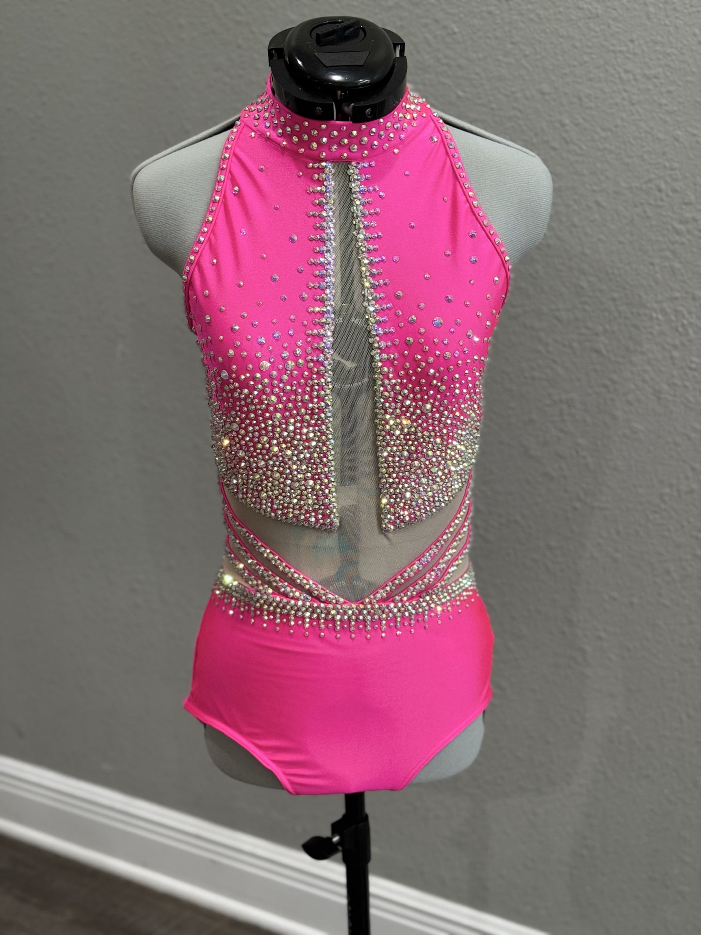 RENTAL: Hot Pink Custom Bryn Lavinia Costume (AM)